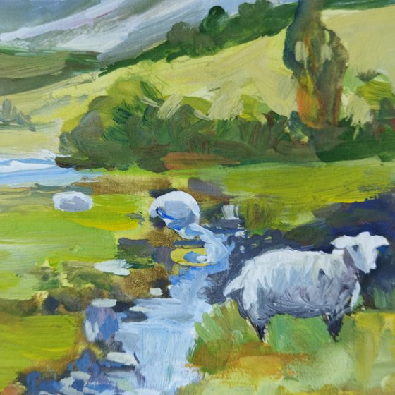 Pasture with sheep