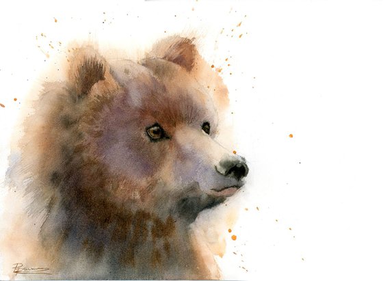 Bear portrait