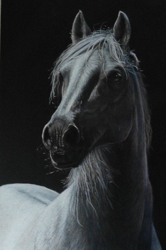 White Horse