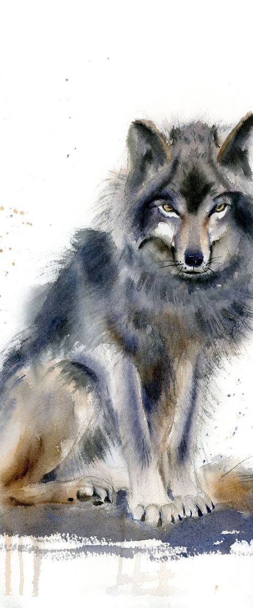 Sitting Wolf by Olga Tchefranov (Shefranov)