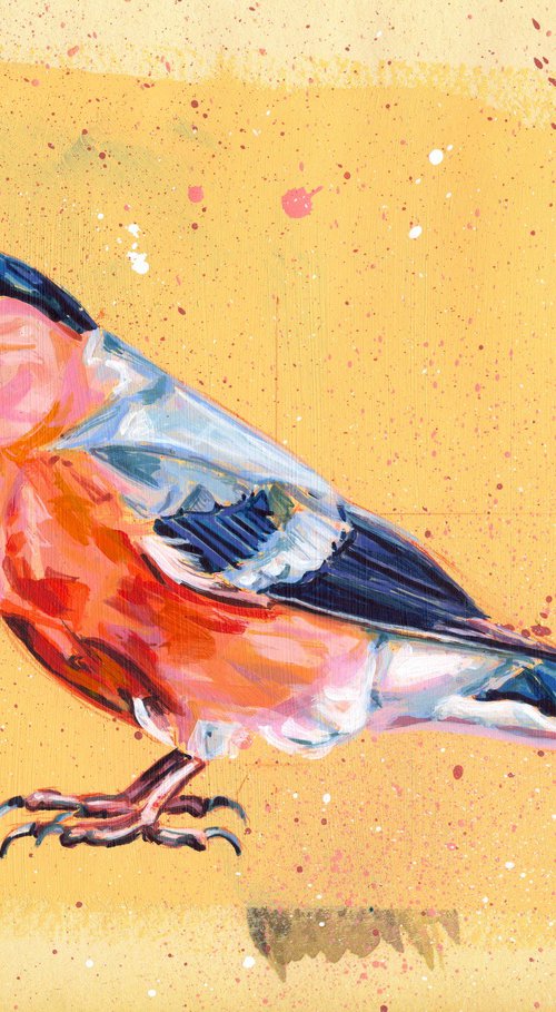 Bullfinch by Paul Ward