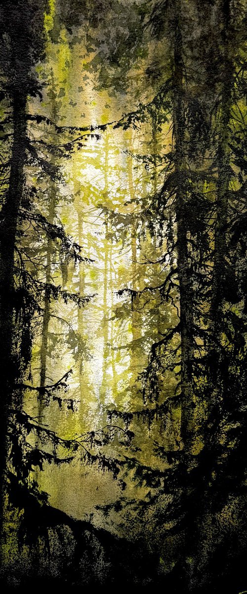 Old forest by Igor Dubovoy