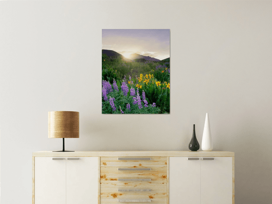 Wildflowers at Dusk