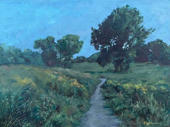 Rural landscape