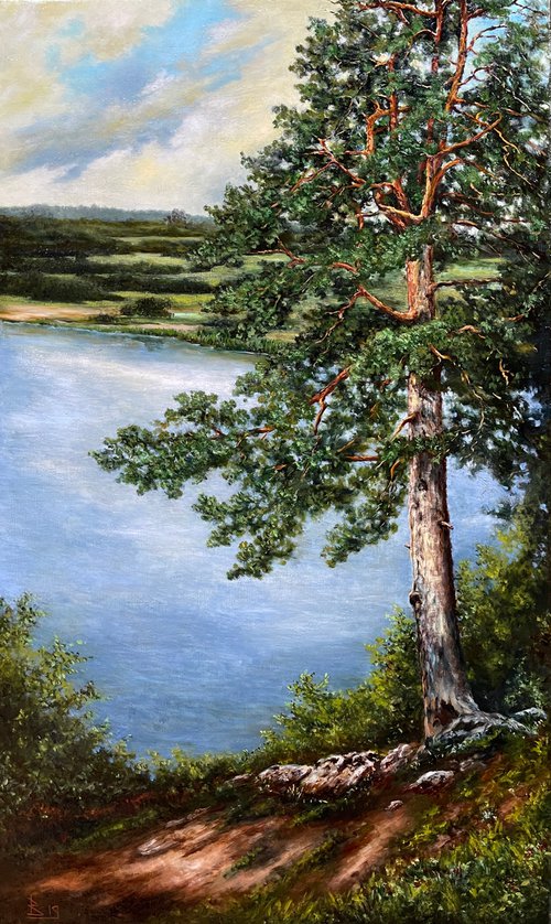 The pine on the shore by Oleg Baulin