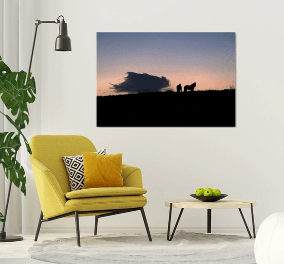 HORSES AT DUSK