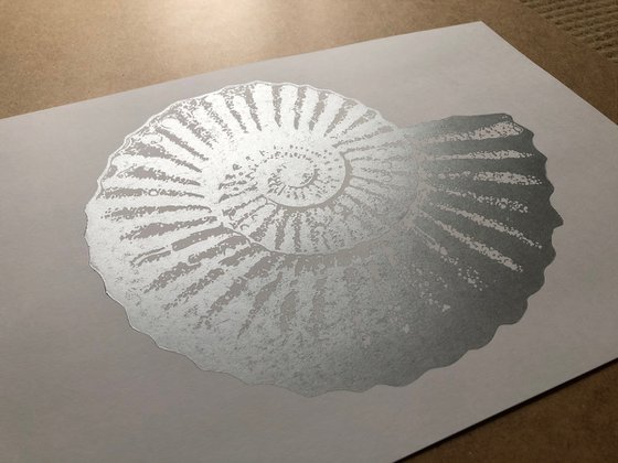 Ammonite single colour (silver on white)
