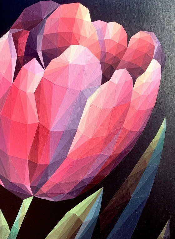 RED CRYSTAL TULIP ON A BLACK