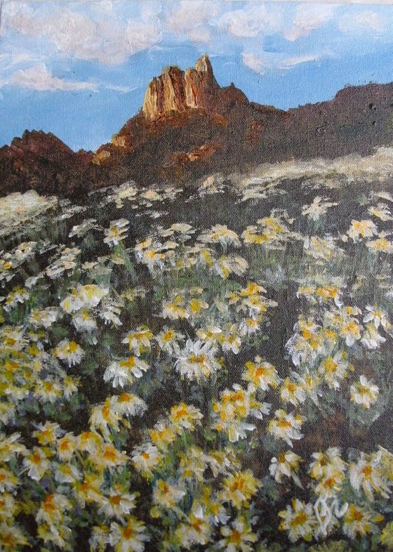 Field With Yellow Daisies - SOLD