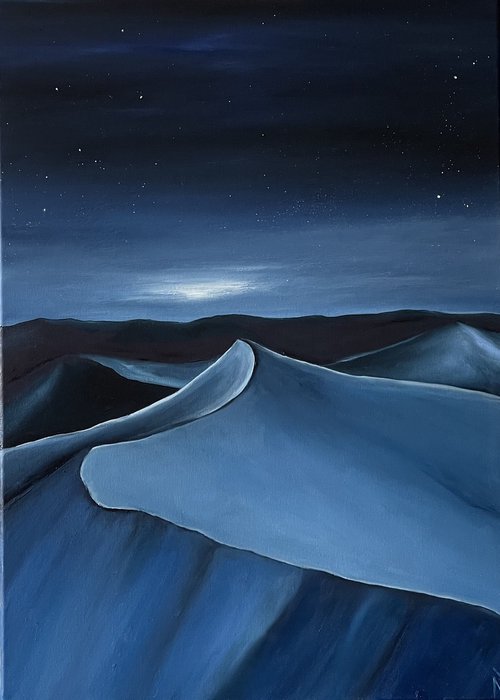 Night in the desert by Anastasiia Novitskaya