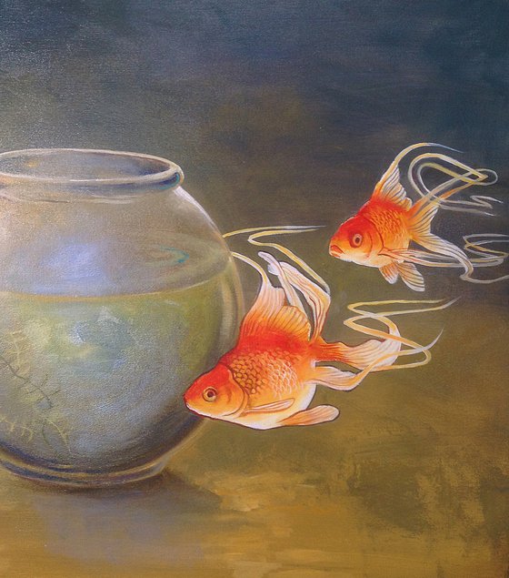 Goldfish XXXI