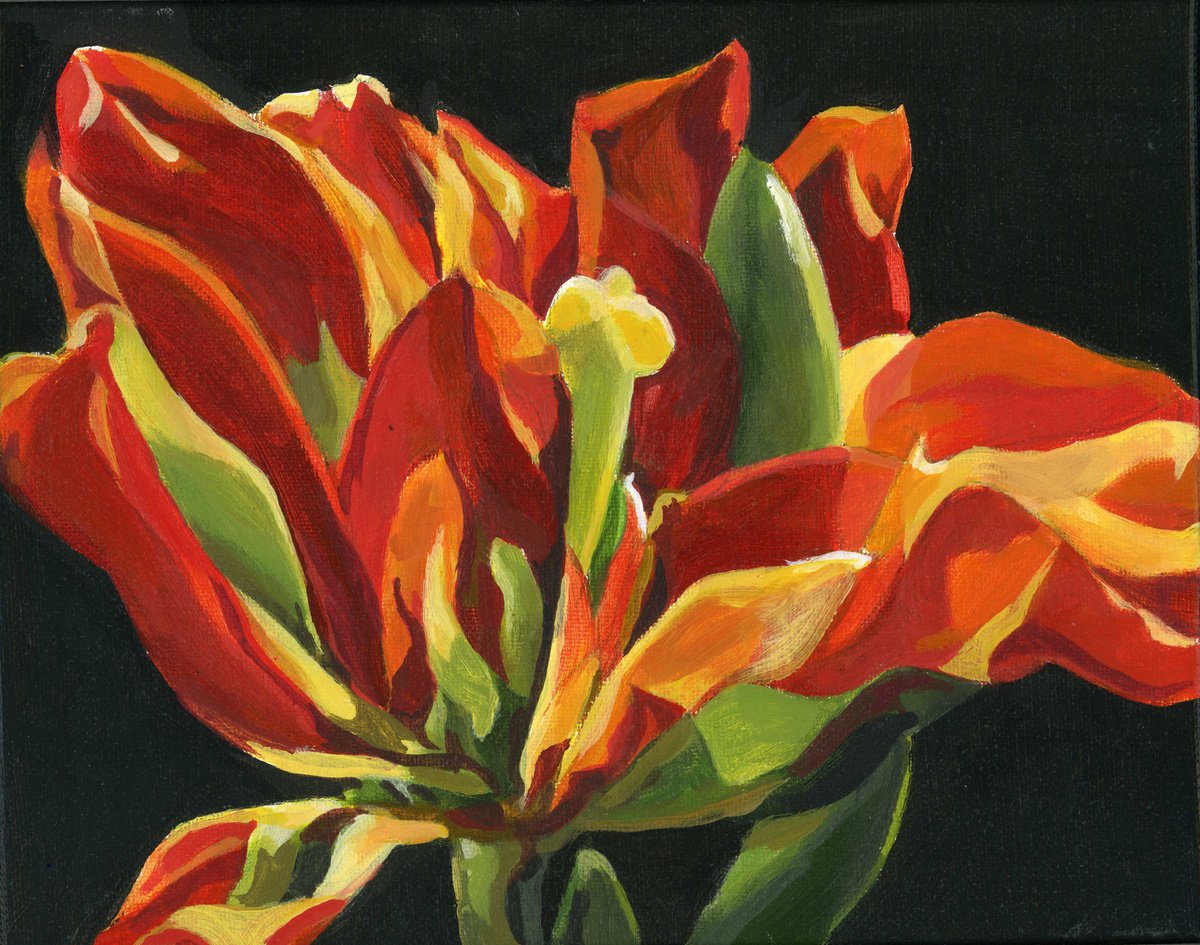 spring tulip acrylic floral by Alfred  Ng