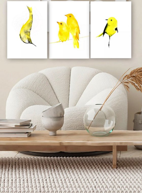Birds
