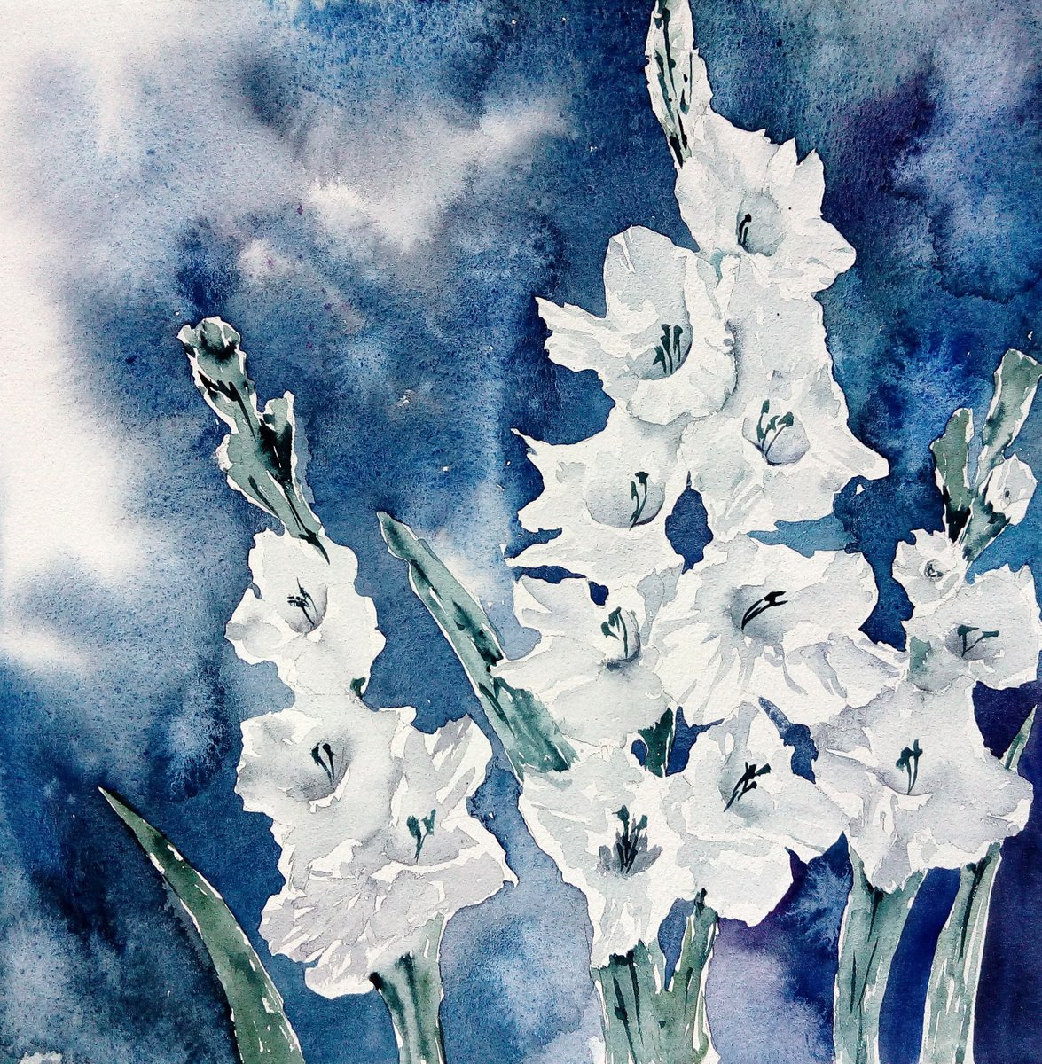 Gladiolus painting by Marina Zhukova