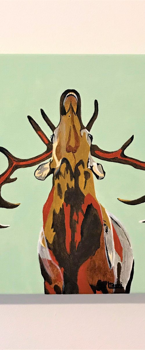 OHH DEER by Lucyanne Terni