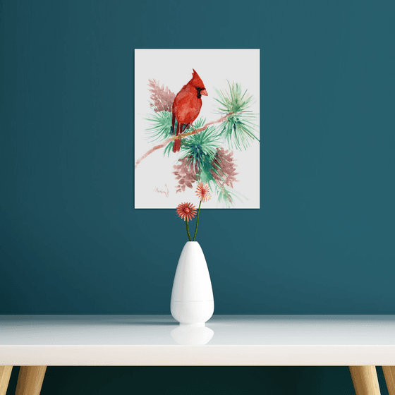 red cardinal bird