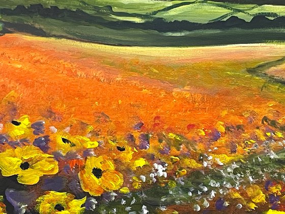 Fields Of Sunset Flowers