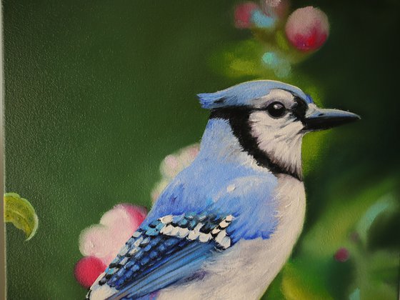 Blue Bird and Flowers, Male Jay, Realistic Animal