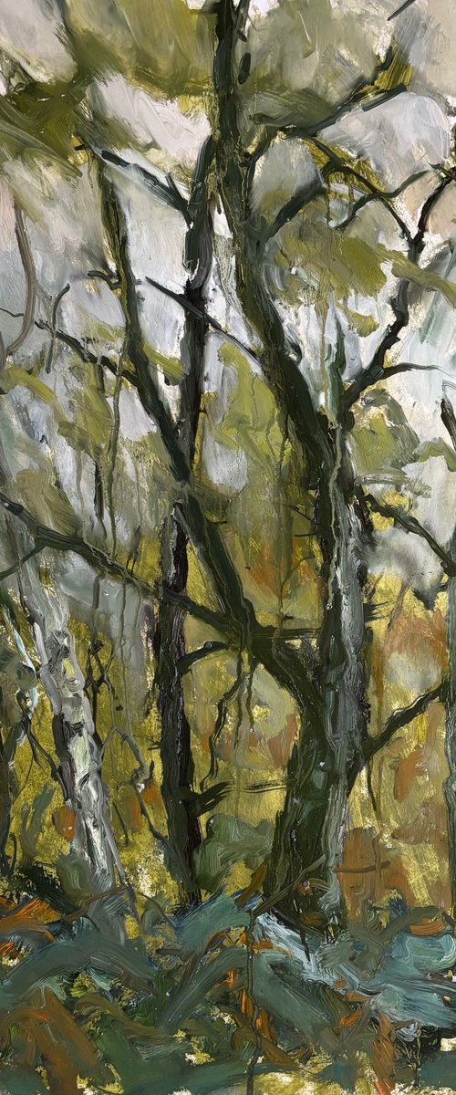 Woodland by Joanna Farrow