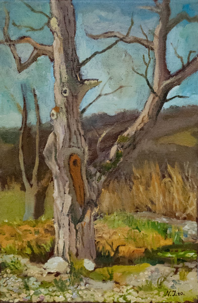 Impressionistic Landscape Oil Painting By Nikola Ivanovic, 8 X 12", A Lone Wallnut Tree, Original Artwork