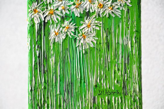 Daisies In The Grass