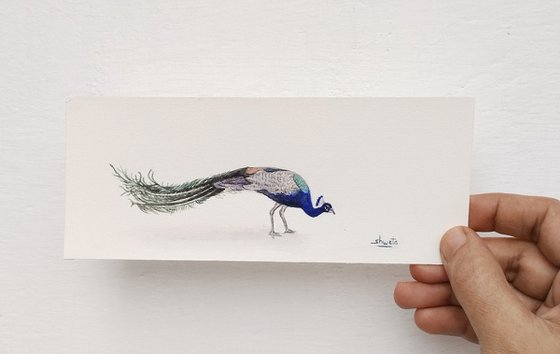 Peacock Miniature Art II