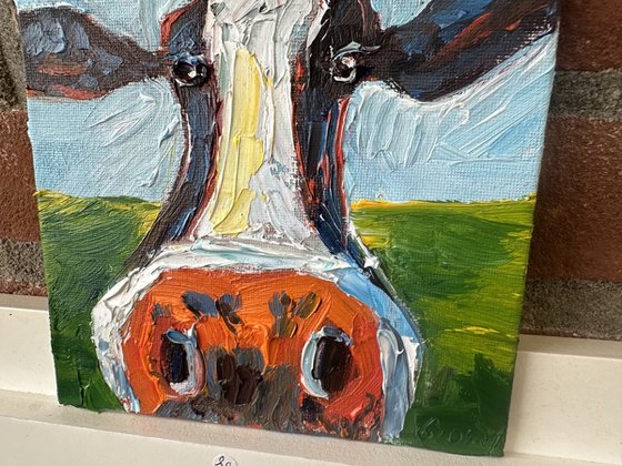 Funny cow portrait