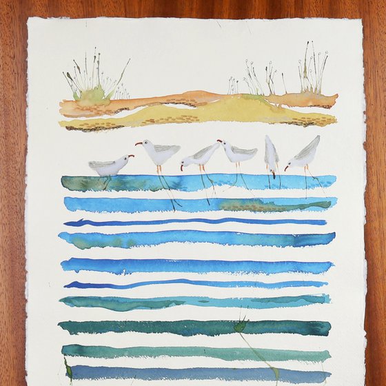 Seagull retreat