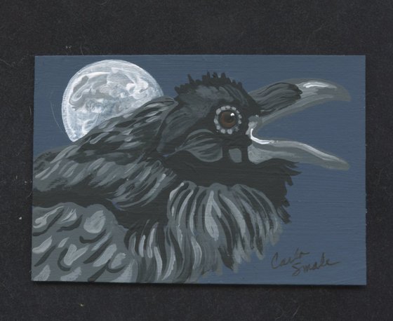 Crow Raven