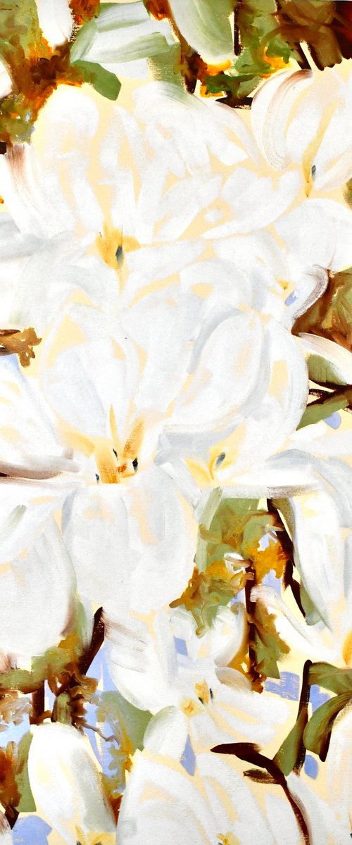 Magnolia by Kathleen Mullaniff