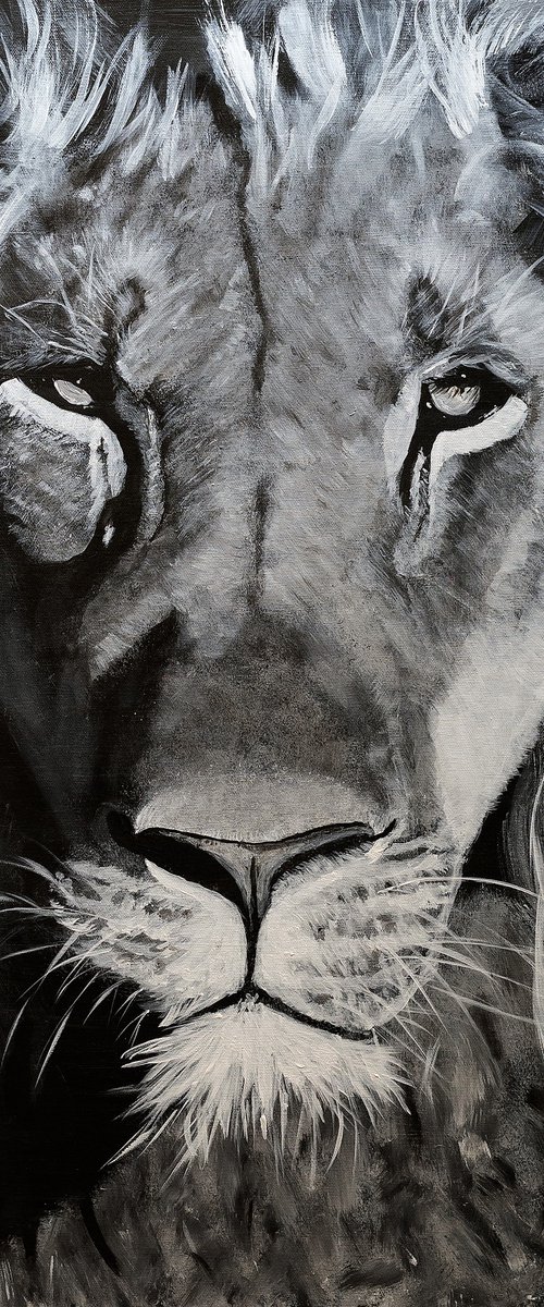 Lion's head ! by Margarita Telianidis