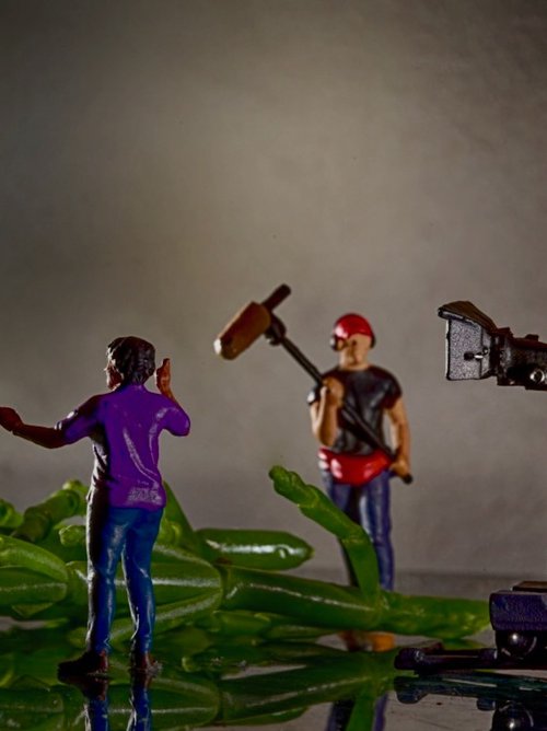 Interview with the Samphire by Marc Ehrenbold