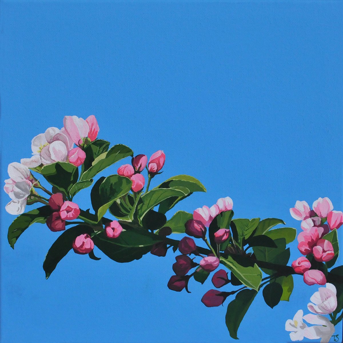 Photorealistic Botanical Acrylic Painting By Theresa Shaw, 13 X 13", Intensely Spring, Original Artwork