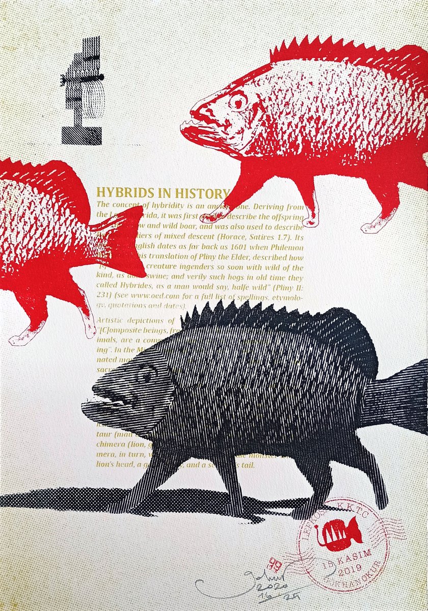 Surrealistic Screenprint , Fishcat By Gokhan Okur, 10 X 14, Artwork For Sale On Artfinder