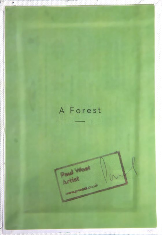A Forest - Fir Trees
