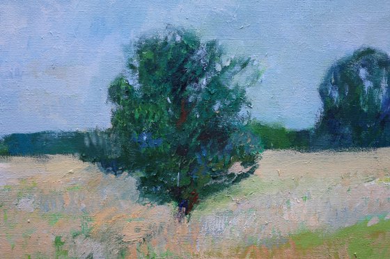 Meadow