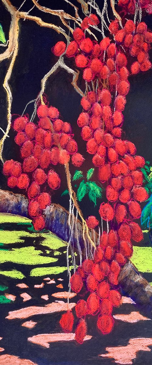 Lychees by John Cottee