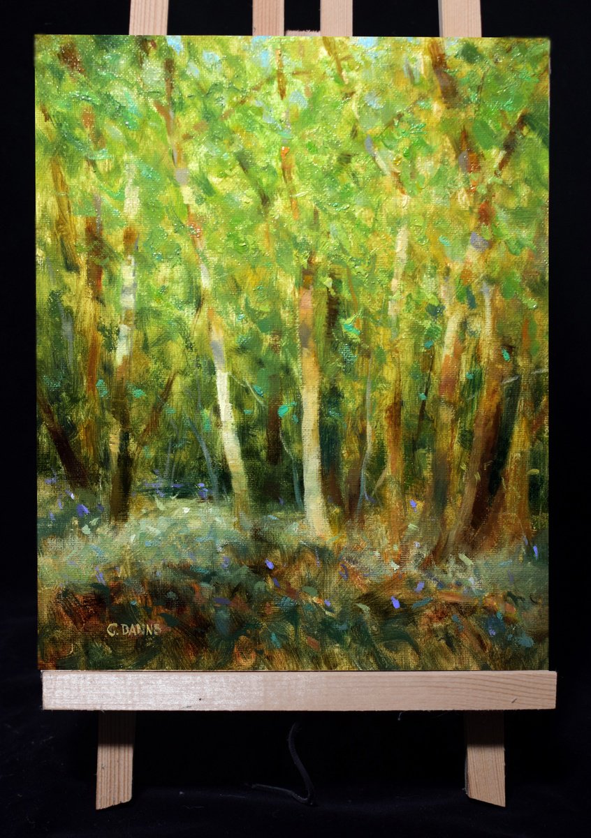 Impressionistic Landscape Oil Painting By Gav Banns, 9 X 12, Forest With Birch Trees, Original Artwork