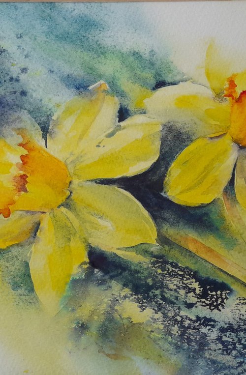 Daffodils by Anjana Cawdell