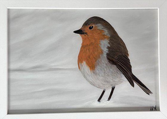 Robin on Snow