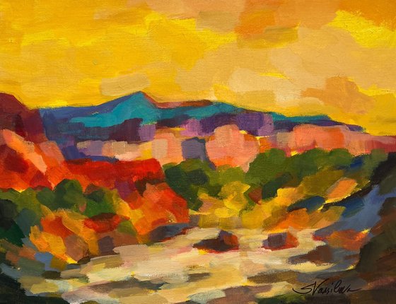 Sonoran View