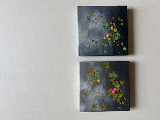 Mini Waterlily ponds
