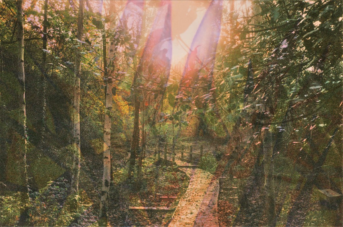 Autumn path - A4 by Kerry Gerdes