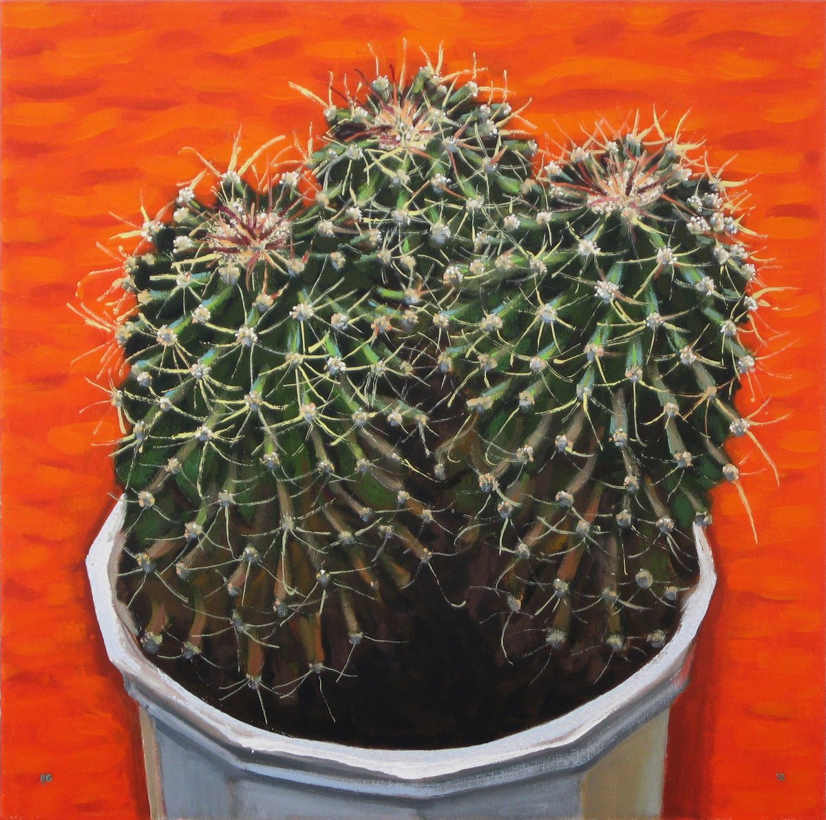 Cactus against an Orange background by Richard Gibson