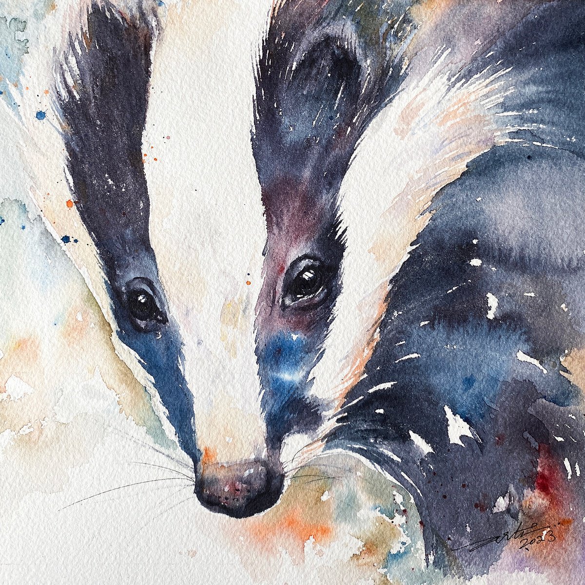Badger barry by Arti Chauhan