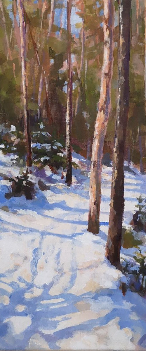Winter paths 4 (14x14x0.7'') by Alexander Koltakov