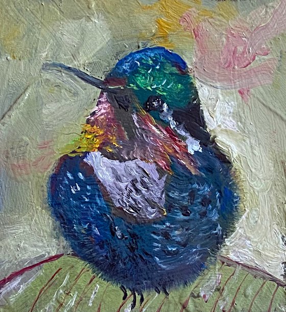 Gorgeted WoodStar Hummingbird Original Oil on gessoed masonite Square Frame