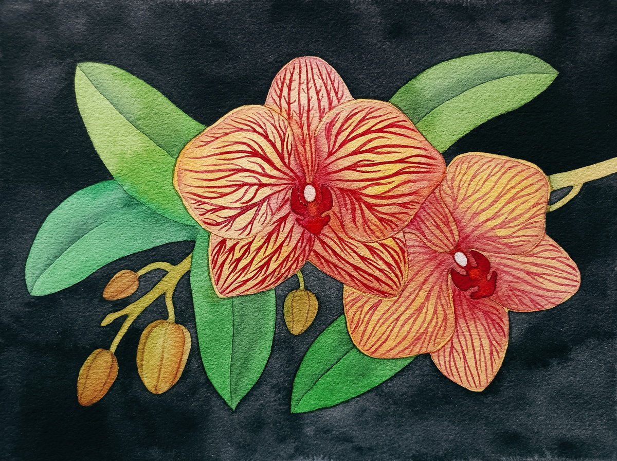 Impressionistic Botanical Watercolour By Veronika Demenko, 13 X 10", Tropical Eden N.5 - Orchids, Original Artwork