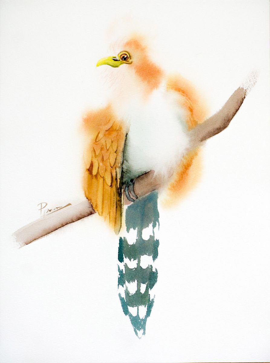 Squirrel cuckoo American bird by Olga Shefranov (Tchefranova)