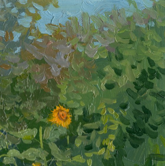 Sunflowers